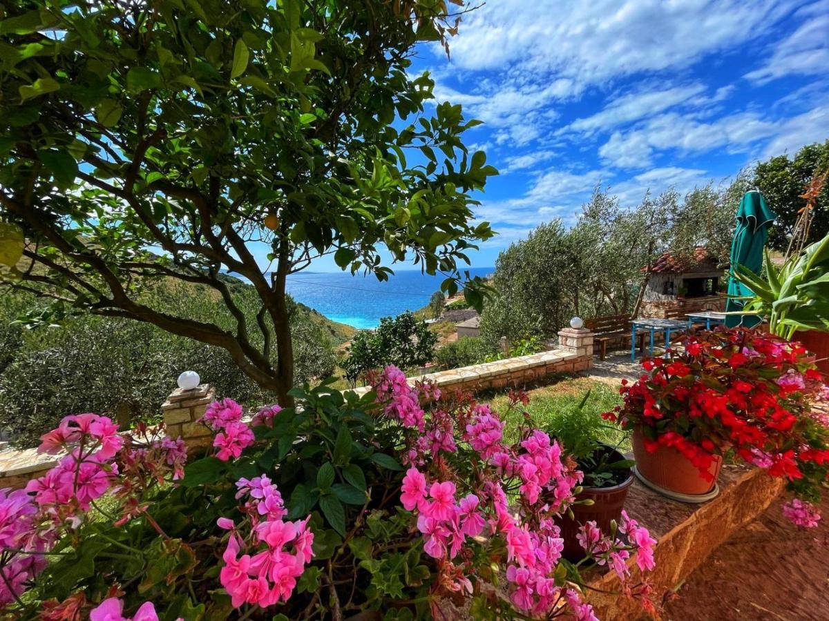 Vila Paza Sarandë Exteriör bild