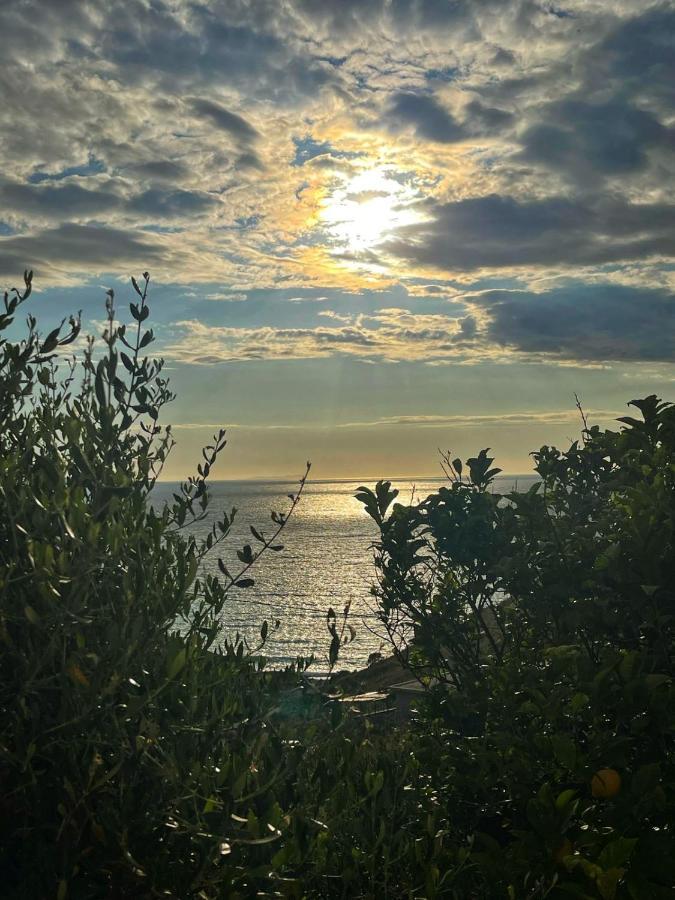 Vila Paza Sarandë Exteriör bild