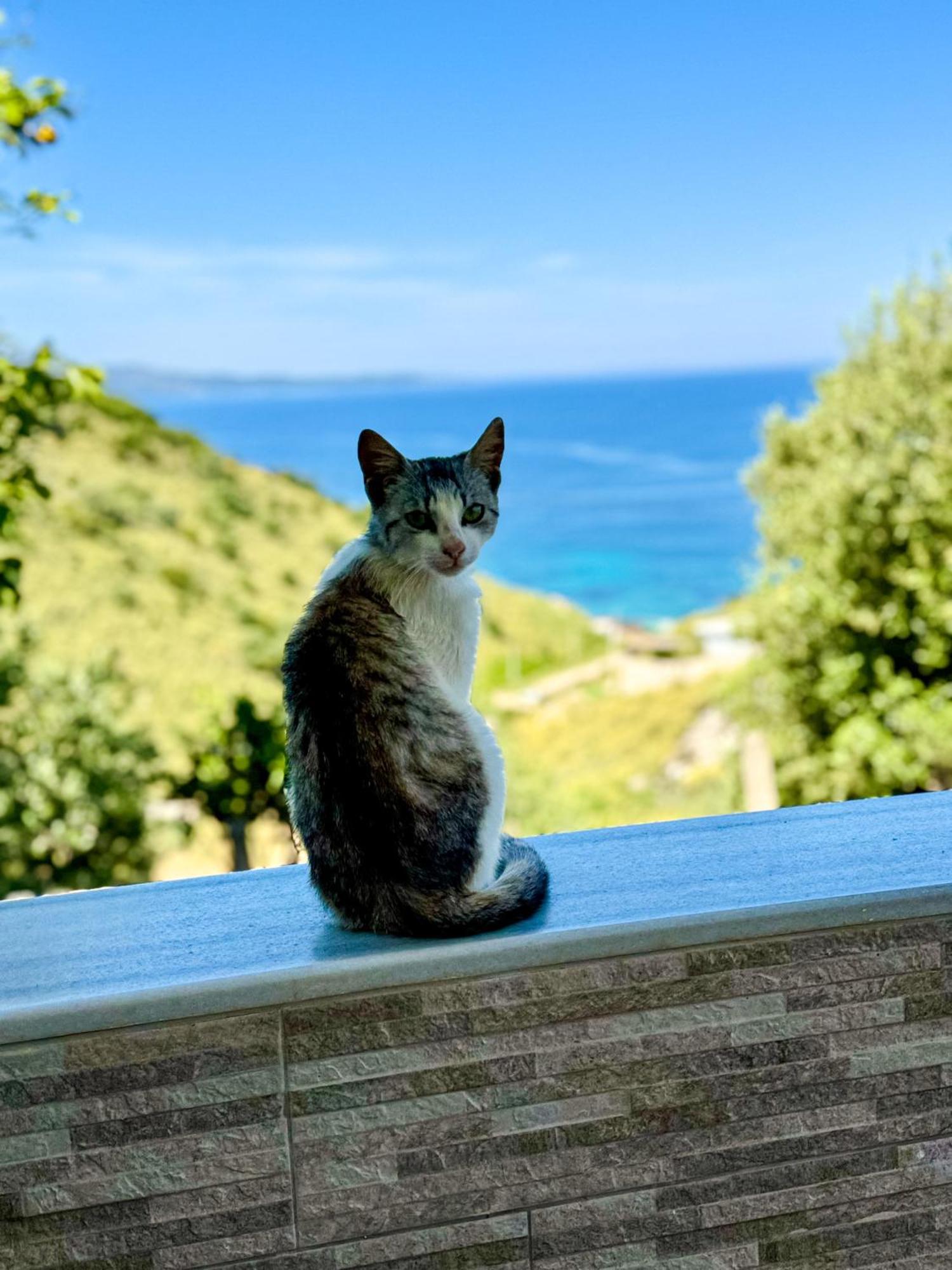 Vila Paza Sarandë Exteriör bild