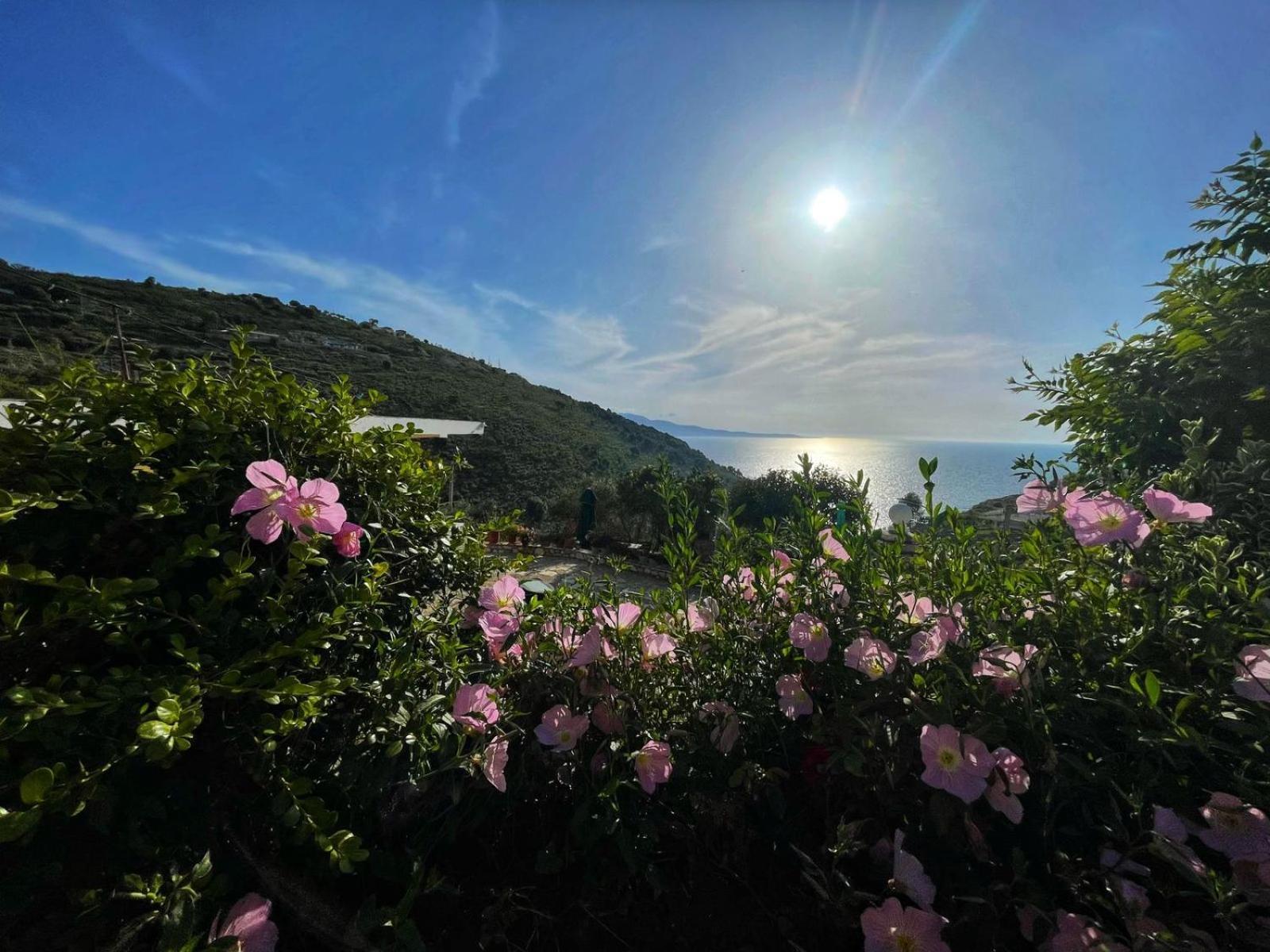 Vila Paza Sarandë Exteriör bild