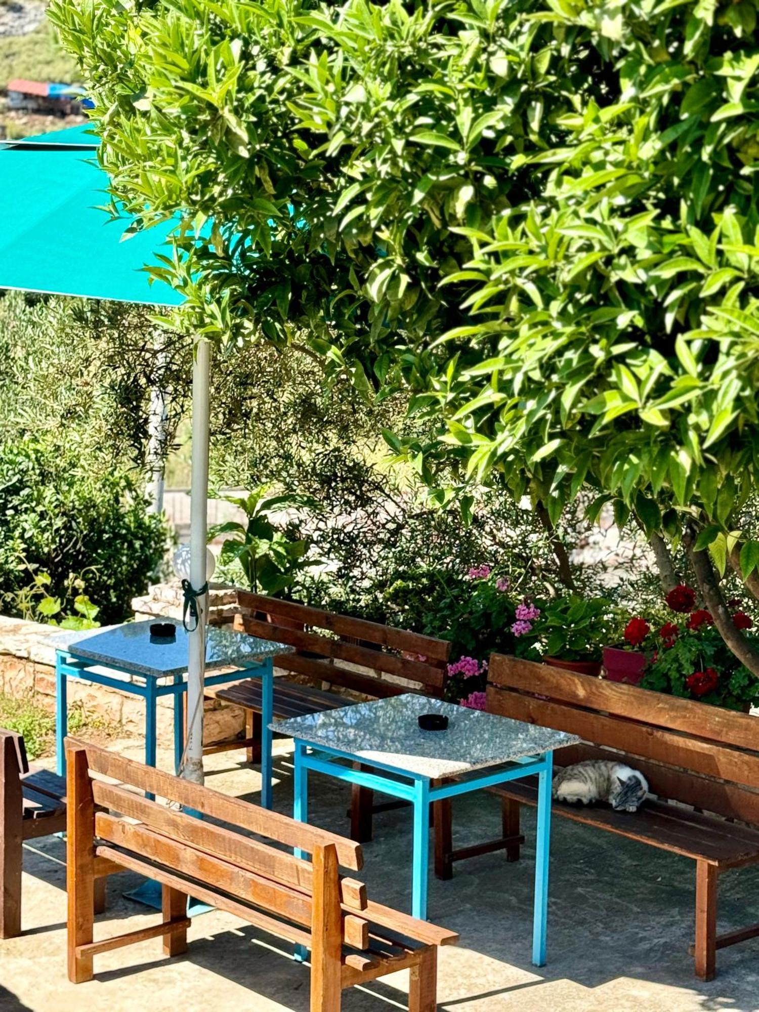 Vila Paza Sarandë Exteriör bild